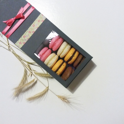 Gift box with 20 macarons / darilna škatla z 20 makroni